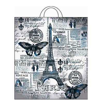 Пакет ПЭ с петлевой ручкой 38х42+6см (50) ПНД (Парижский день), ПТЛ00842