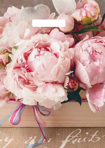 Пакет ПЭ с вырубной ручкой 29х40 (35) Артпласт (Бенефис), ВУР49406