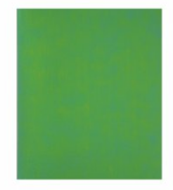 Тетрадь 48л., А5, клетка, Alingar, Green chameleon, AL12399