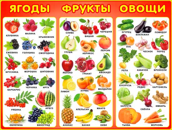 Плакат А2 'Ягоды, фрукты, овощи' 450х595 мм, Р2-188