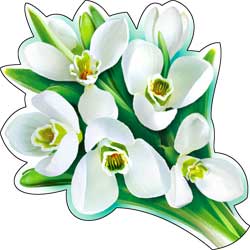 Украшение на скотче ФДА 'Подснежники', (1;уп),113-52-А