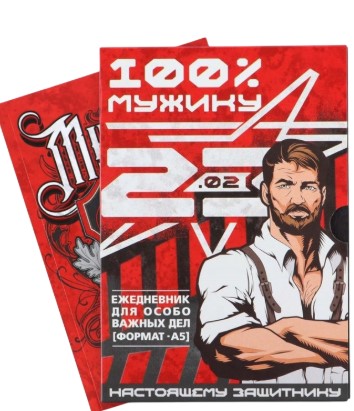 Ежедневник А5, 80 листов, недатированный, в подарочной коробке «23 февраля», 9231038