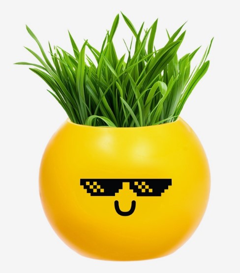 Набор для опытов, для детей 'Выращиваем травку' растение в горшочке-эмодзи 'Крутой', 10588748