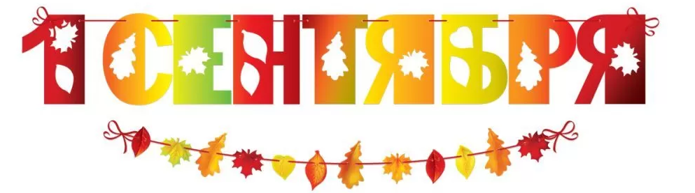 Гирлянда '1 Сентября', 3100169