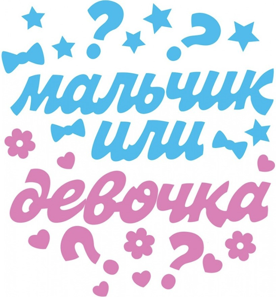 Набор наклеек 'Мальчик или девочка', 0200926