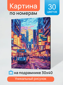 Холст с красками 30x40 см по номерам (в коробке) (30 цв.) Ночной азиатский город ХК-3217