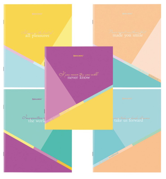 Тетрадь А5 48 л. BRAUBERG скоба, клетка, обложка картон, Multicolor, 404361