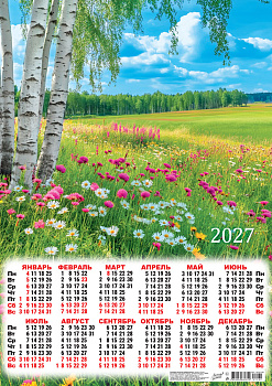 Календарь листовой А2, 2027 год, Природа. Цветочная поляна, ПО-27-164