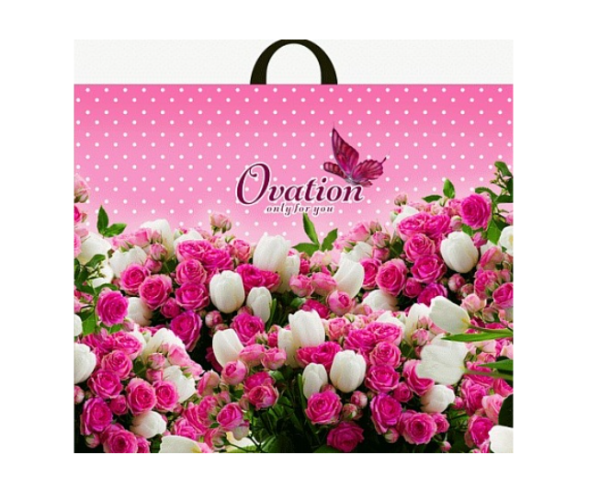 Пакет ПЭ с петлевой ручкой 60х50+6см (70) (Овация) Интерпак, ПТЛ11337