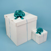 4095051c_1b31_49f2_8836_4cce3a6cb425_9816ca3b_0f9a_11ef_9239_3cecef035c95