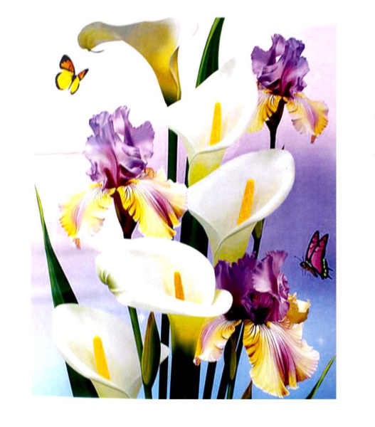 АЛМАЗНАЯ МОЗАЙКА, DARLENS «БЕЛЫЕ ЦВЕТЫ», 400х500 мм, 15 цв, YHDGJ74998